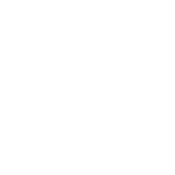 Bagua Icon